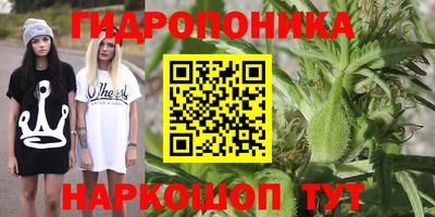 дмт Брянск