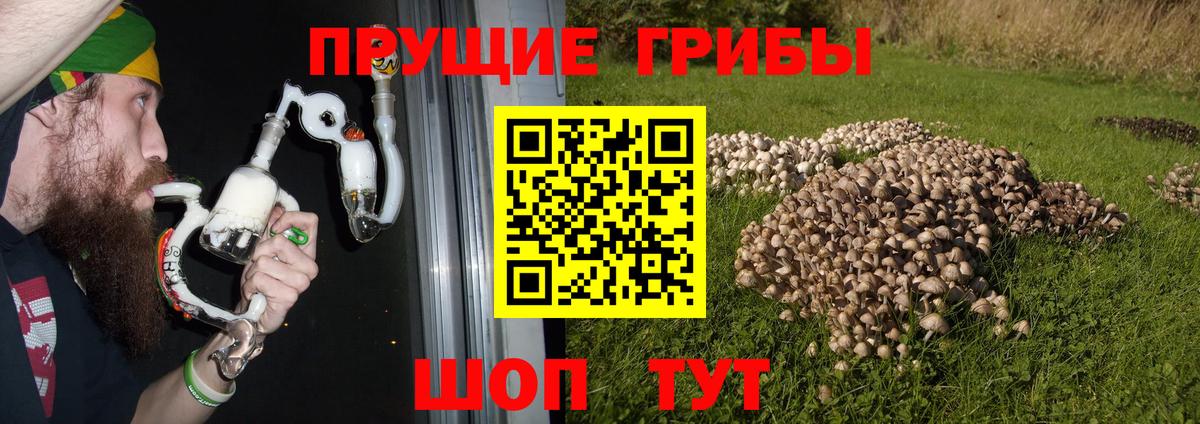 Галлюциногенные грибы мицелий Гай