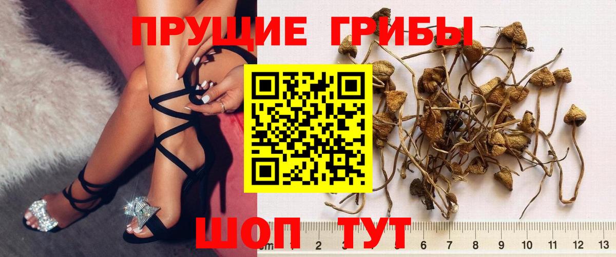 Галлюциногенные грибы мицелий  Вход с VPN  Гай 