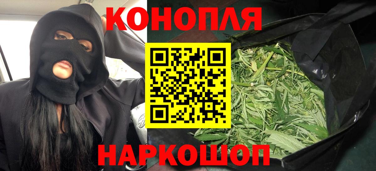 Гай  Бошки Шишки семена  Вход с VPN  Бошки Шишки OG Kush  Шишки марихуана THC 21% 