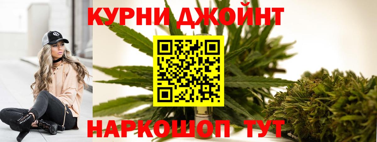 Бошки марихуана VHQ Гай